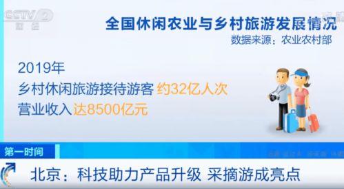 科技助力產(chǎn)品升級(jí)，信息技術(shù)咨詢服務(wù)驅(qū)動(dòng)采摘游成新亮點(diǎn)